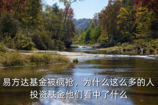 易方達(dá)基金被瘋搶，為什么這么多的人投資基金他們看中了什么
