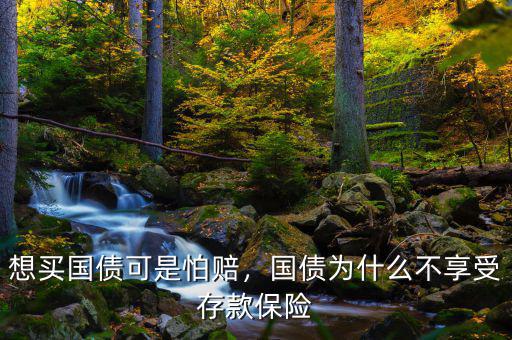 想買國債可是怕賠，國債為什么不享受存款保險