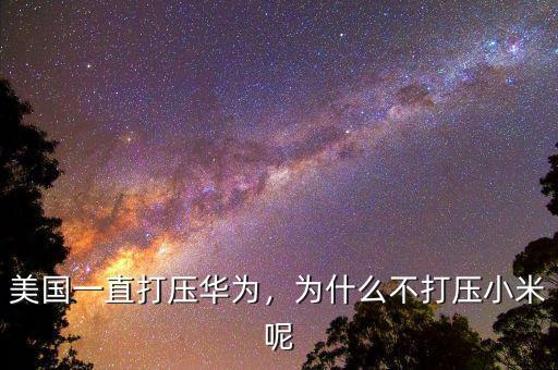 美國一直打壓華為，為什么不打壓小米呢