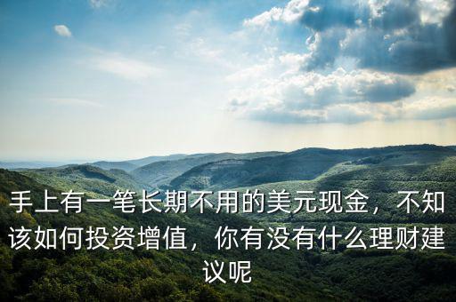 手上有一筆長期不用的美元現(xiàn)金，不知該如何投資增值，你有沒有什么理財建議呢