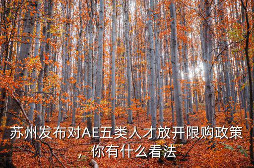 蘇州發(fā)布對(duì)AE五類人才放開限購政策，你有什么看法