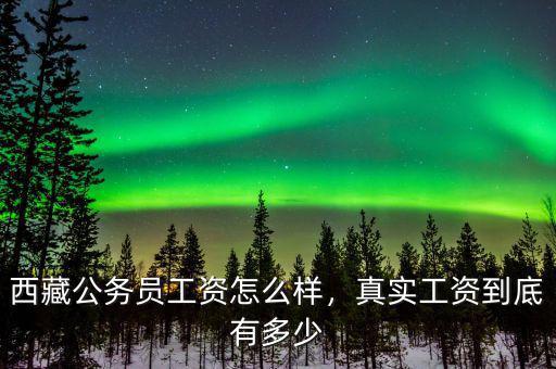 西藏公務(wù)員工資怎么樣，真實工資到底有多少