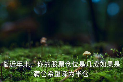 臨近年末，你的股票倉位是幾成如果是滿倉希望降為半倉