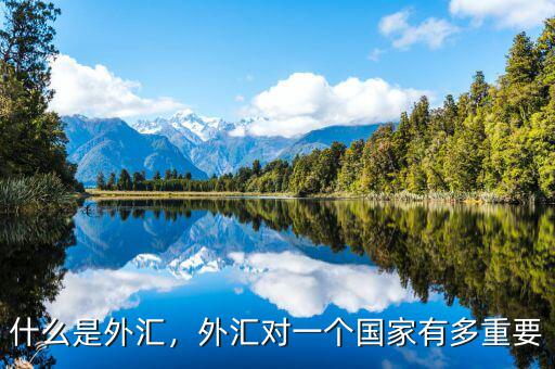 什么是外匯，外匯對一個國家有多重要