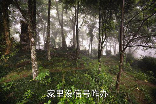 家里沒(méi)信號(hào)咋辦