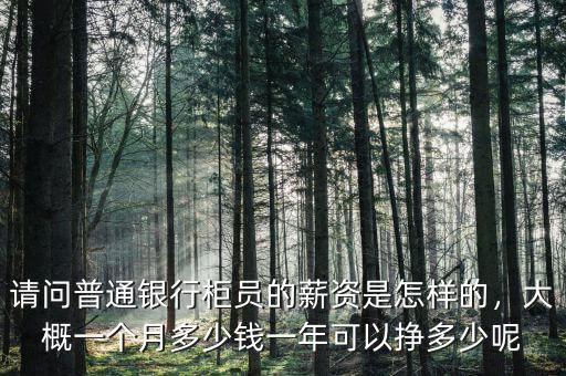 請問普通銀行柜員的薪資是怎樣的，大概一個月多少錢一年可以掙多少呢