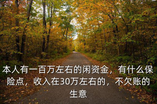 本人有一百萬左右的閑資金，有什么保險點，收入在30萬左右的，不欠賬的生意