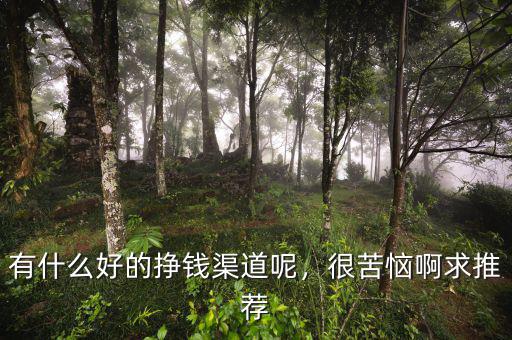 有什么好的掙錢渠道呢，很苦惱啊求推薦
