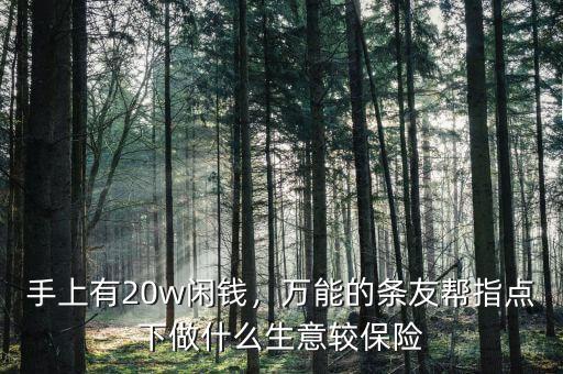 手上有20w閑錢，萬(wàn)能的條友幫指點(diǎn)下做什么生意較保險(xiǎn)