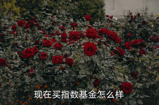 現(xiàn)在買(mǎi)指數(shù)基金怎么樣