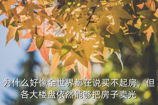 為什么好像全世界都在說(shuō)買不起房，但各大樓盤依然能夠把房子賣光