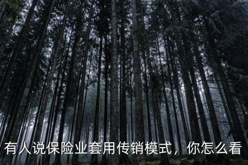 有人說保險(xiǎn)業(yè)套用傳銷模式，你怎么看