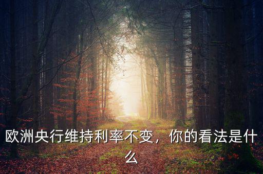 歐洲央行維持利率不變，你的看法是什么