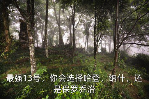 最強(qiáng)13號(hào)，你會(huì)選擇哈登，納什，還是保羅喬治