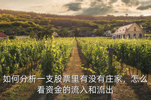 如何分析一支股票里有沒(méi)有莊家，怎么看資金的流入和流出