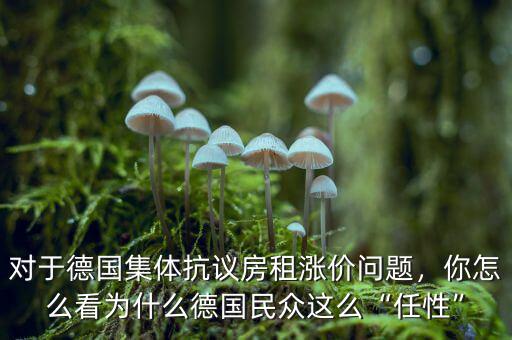 對于德國集體抗議房租漲價問題，你怎么看為什么德國民眾這么“任性”