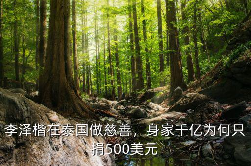 李澤楷在泰國(guó)做慈善，身家千億為何只捐500美元