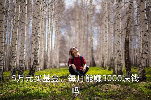 5萬(wàn)元買(mǎi)基金，每月能賺3000塊錢(qián)嗎