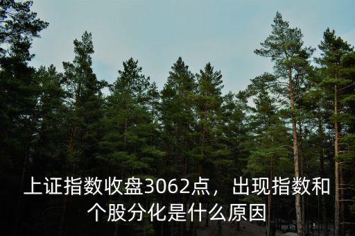 上證指數(shù)收盤3062點，出現(xiàn)指數(shù)和個股分化是什么原因