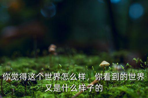 你覺得這個(gè)世界怎么樣，你看到的世界又是什么樣子的