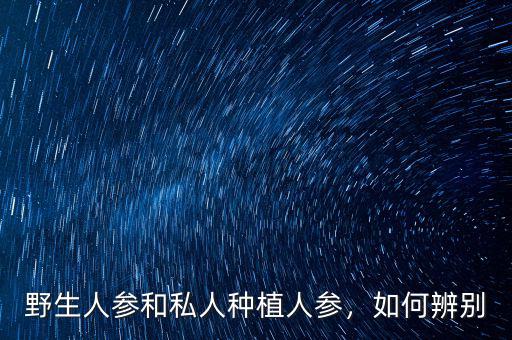 野生人參和私人種植人參，如何辨別