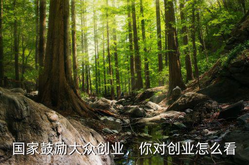 國家鼓勵(lì)大眾創(chuàng)業(yè)，你對創(chuàng)業(yè)怎么看