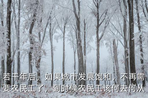若干年后，如果城市發(fā)展飽和，不再需要農(nóng)民工了，到時候農(nóng)民工該何去何從