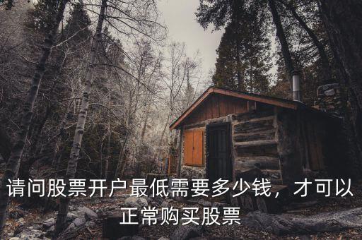 請問股票開戶最低需要多少錢，才可以正常購買股票