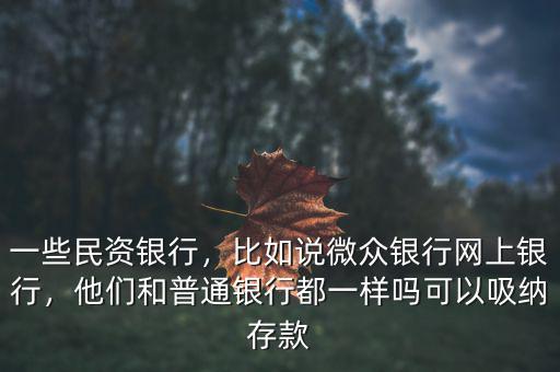 一些民資銀行，比如說(shuō)微眾銀行網(wǎng)上銀行，他們和普通銀行都一樣嗎可以吸納存款