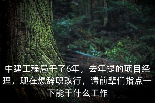 中建工程局干了6年，去年提的項目經(jīng)理，現(xiàn)在想辭職改行，請前輩們指點一下能干什么工作