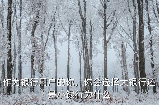 作為銀行用戶的你，你會(huì)選擇大銀行還是小銀行為什么