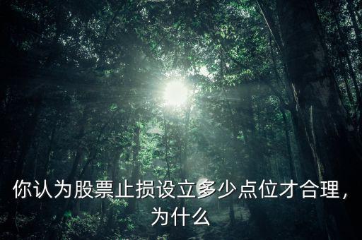 你認(rèn)為股票止損設(shè)立多少點(diǎn)位才合理，為什么