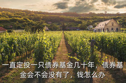 一直定投一只債券基金幾十年，債券基金會不會沒有了，錢怎么辦