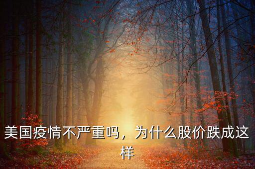 美國疫情不嚴(yán)重嗎，為什么股價(jià)跌成這樣