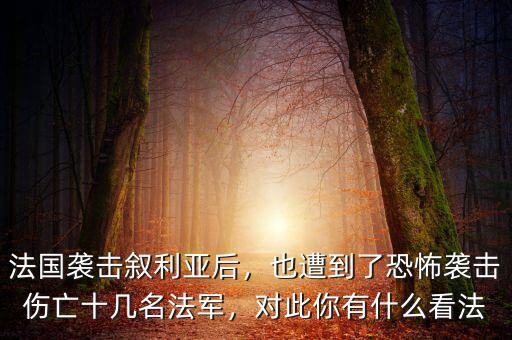 法國(guó)襲擊敘利亞后，也遭到了恐怖襲擊傷亡十幾名法軍，對(duì)此你有什么看法