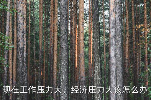 現(xiàn)在工作壓力大，經(jīng)濟壓力大該怎么辦