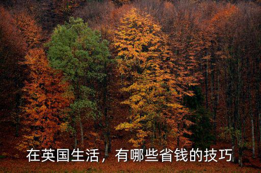 在英國(guó)生活，有哪些省錢(qián)的技巧