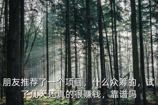 朋友推薦了一個項目，什么眾籌的，試了幾天還真的很賺錢，靠譜嗎