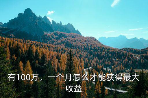 有100萬，一個(gè)月怎么才能獲得最大收益