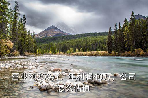 營(yíng)業(yè)額200萬(wàn)，年利潤(rùn)40萬(wàn)，公司怎么估值
