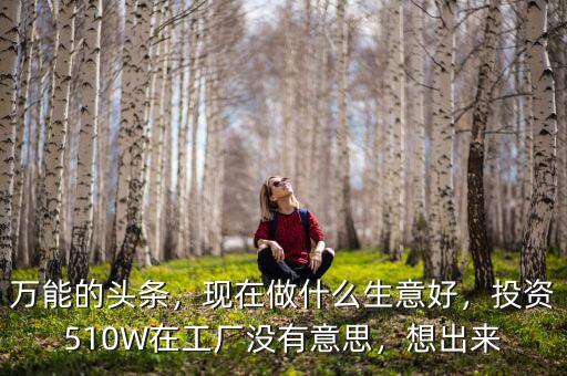萬(wàn)能的頭條，現(xiàn)在做什么生意好，投資510W在工廠沒有意思，想出來(lái)