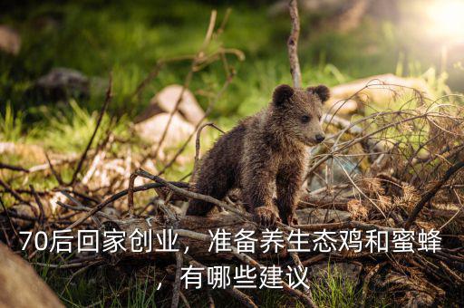 70后回家創(chuàng)業(yè)，準(zhǔn)備養(yǎng)生態(tài)雞和蜜蜂，有哪些建議