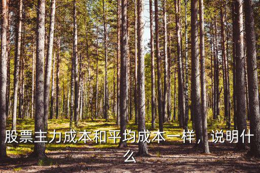 股票主力成本和平均成本一樣，說(shuō)明什么