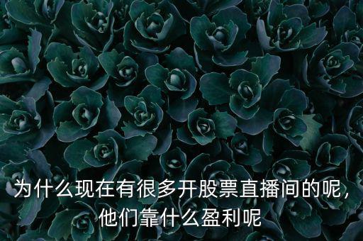 為什么現(xiàn)在有很多開股票直播間的呢，他們靠什么盈利呢