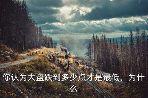 你認為大盤跌到多少點才是最低，為什么