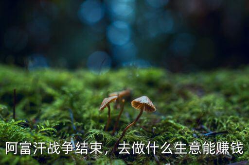 阿富汗戰(zhàn)爭結束，去做什么生意能賺錢