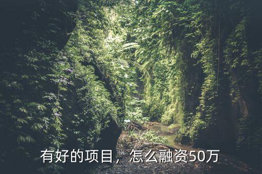 有好的項目，怎么融資50萬