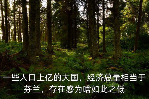 一些人口上億的大國(guó)，經(jīng)濟(jì)總量相當(dāng)于芬蘭，存在感為啥如此之低