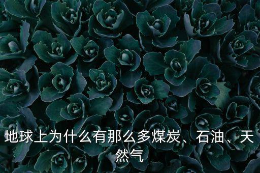 地球上為什么有那么多煤炭、石油、天然氣