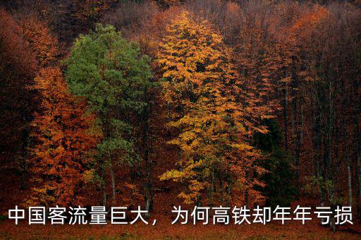 中國客流量巨大，為何高鐵卻年年虧損